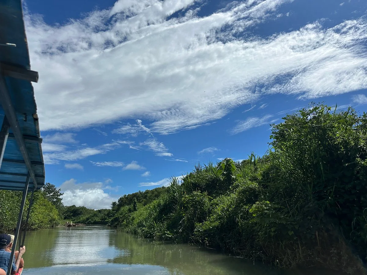 Calm waterway through the Damas Island mangroves