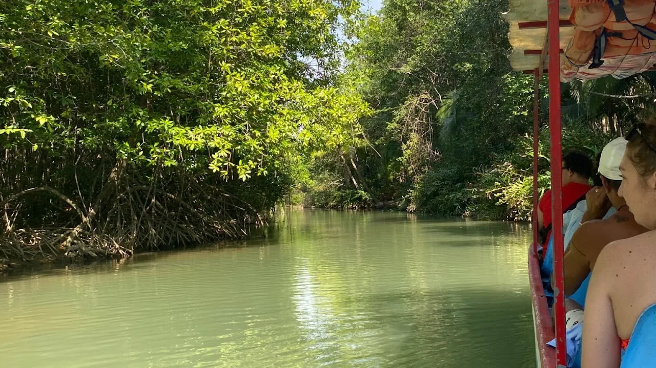 Visitors enjoying a peaceful boat ride through the mangroves