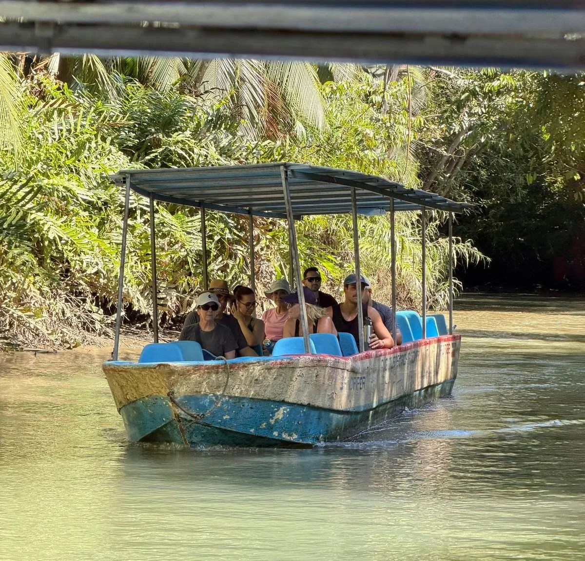 Guests on a guided boat tour through the Damas Island mangroves