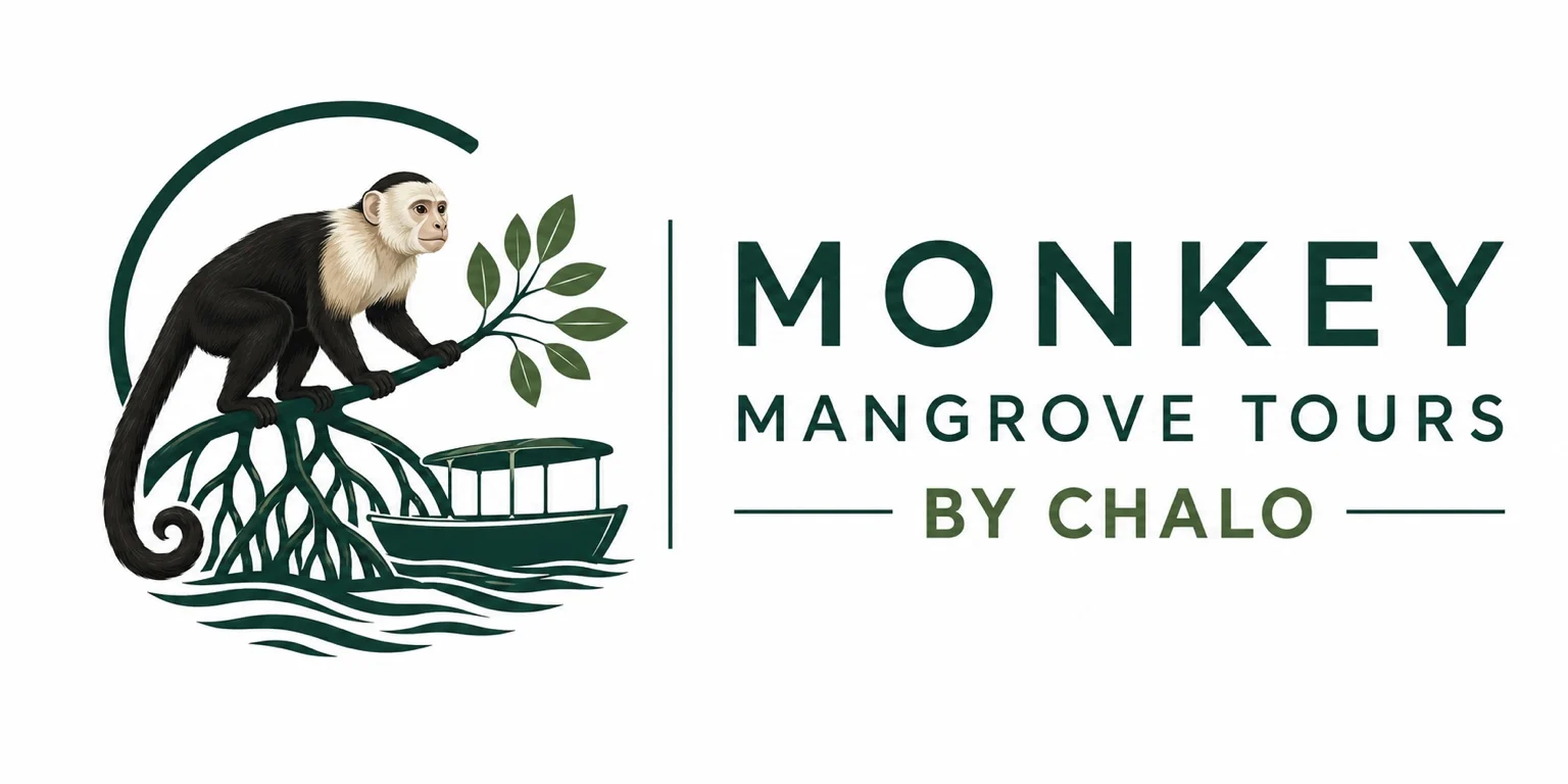 Monkey Mangrove Tours by Chalo